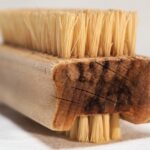 Cepillo de limpieza